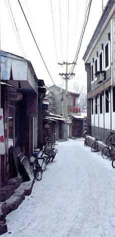 胡同文化扎根在心中